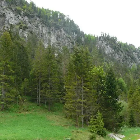 Wildnisquartier Schneckengraben בית נופש *