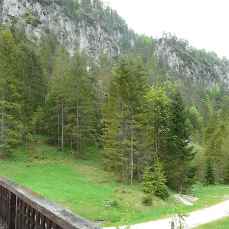 Wildnisquartier Schneckengraben * Wildalpen